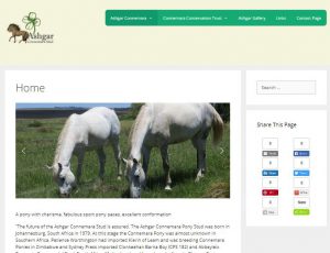 Ashgar Connemara Website